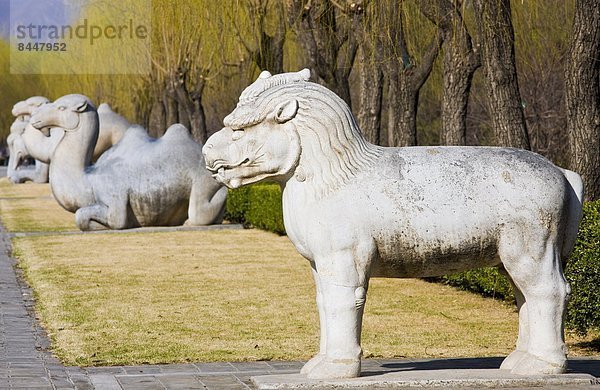 Peking  Hauptstadt  China  Katakombe  Weg