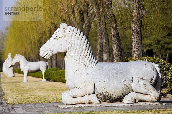 Peking  Hauptstadt  China