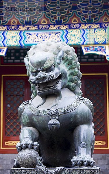 Löwe  Panthera leo  Sommer  Palast  Schloß  Schlösser  Statue  Tatze  Peking  Hauptstadt  Ball Spielzeug  China  Bronze