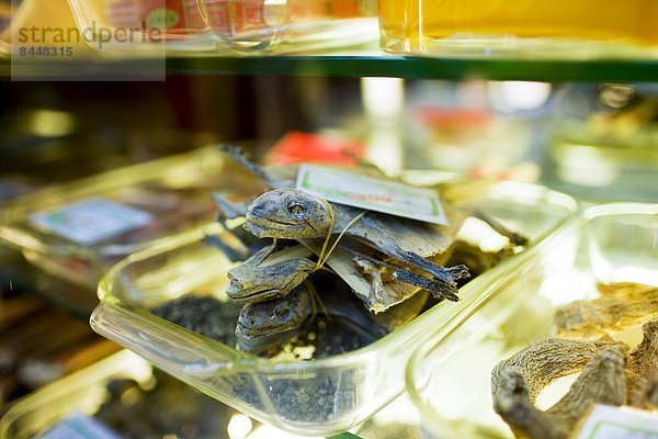 Tradition  Straße  Gesundheitspflege  chinesisch  verkaufen  Laden  Peking  Hauptstadt  Eidechse  China  getrocknet