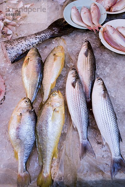 Fisch  Pisces  Frische  Lebensmittel  Tradition  Straße  chinesisch  verkaufen  China  Markt  alt