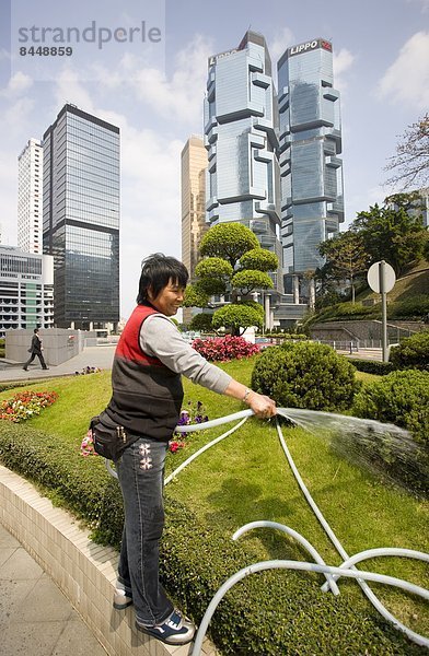 Wasser  Finanzen  Gärtner  Gras  China  Ortsteil  Hongkong