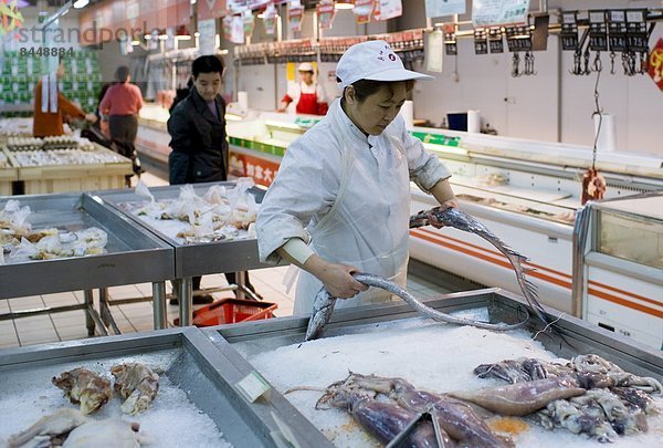 Fisch  Pisces  Frische  Assistent  Laden  China  Chongqing  Tresen  Supermarkt