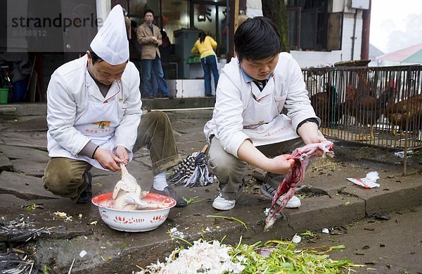 nahe  chinesisch  Restaurant  Huhn  Gallus gallus domesticus  Kaninchen  Koch  Kunde  China  Depilation  Chongqing