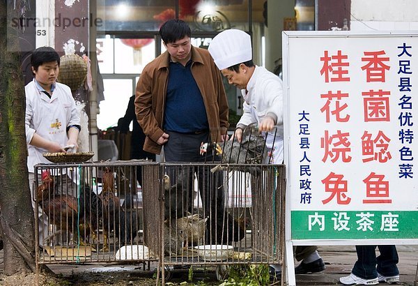 nahe  chinesisch  Restaurant  auswählen  Huhn  Gallus gallus domesticus  Koch  Kunde  China  Chongqing