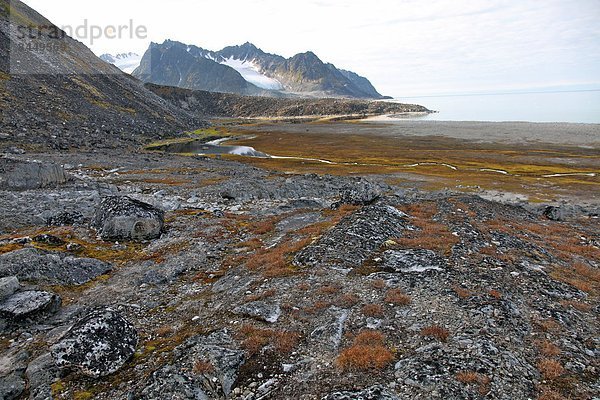 Glacial foreshore  Magdalenefjord  Svalbard Looking west