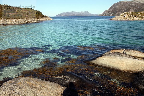 Felsbrocken  Hafen  Europa  Norwegen  Unkraut  Seegras  Skandinavien  Troms