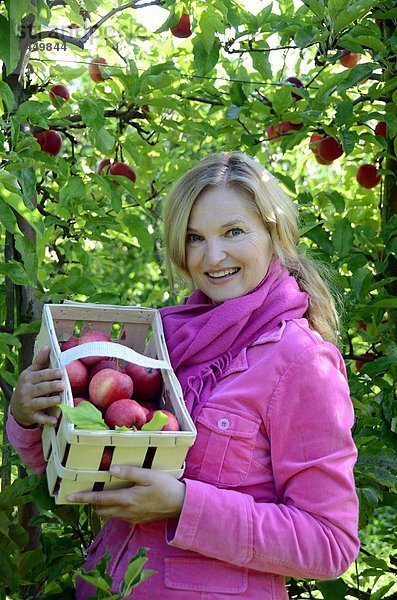 Lächelnde Frau hält einen Korb mit Äpfeln