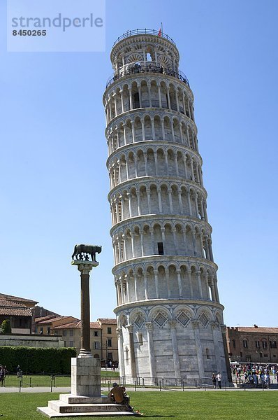 angelehnt  Wolf  Canis lupus  Rom  Hauptstadt  Europa  Säule  UNESCO-Welterbe  Italien  Pisa  Toskana