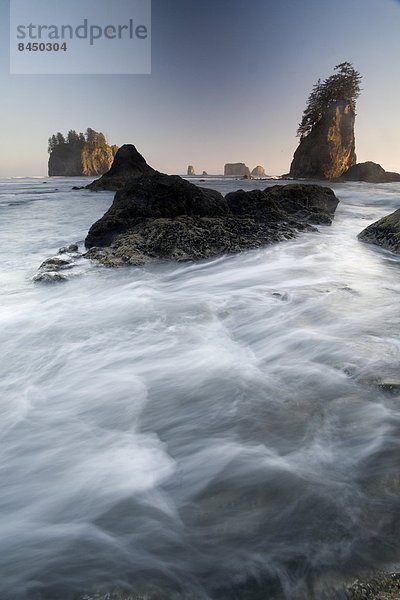 Vereinigte Staaten von Amerika  USA  Nordamerika  UNESCO-Welterbe  Olympic Nationalpark