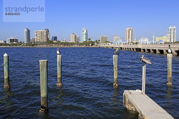 Vereinigte Staaten von Amerika  USA  Nordamerika  Florida  Tampa