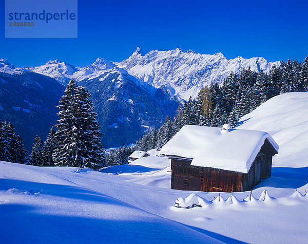 Winterlandschaft in Montafon bei Schruns  Vorarlberg  Österreich