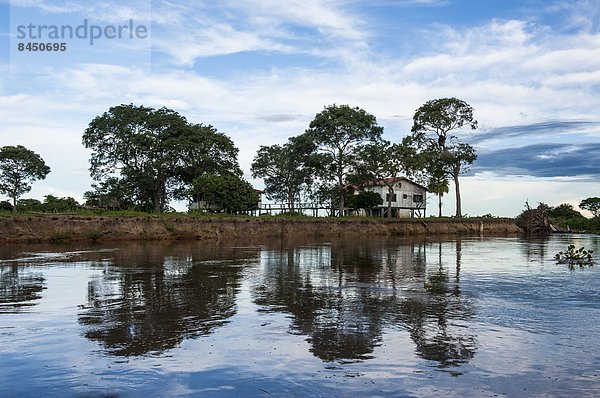 Wasser  Baum  Schutz  Spiegelung  Fluss  Zimmer  UNESCO-Welterbe  Brasilien  Pantanal  Südamerika