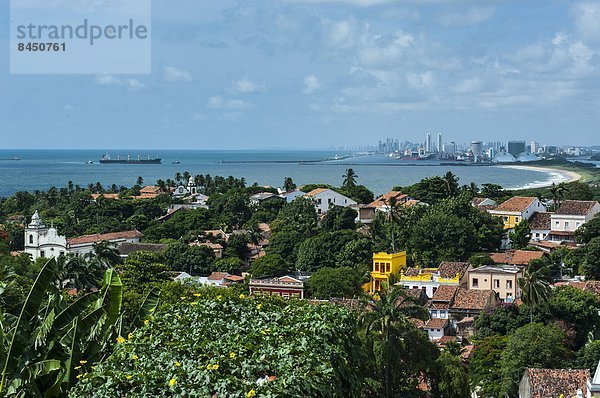 über  Stadt  Ansicht  UNESCO-Welterbe  Brasilien  Pernambuco  Südamerika