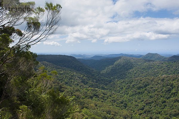 über  Pazifischer Ozean  Pazifik  Stiller Ozean  Großer Ozean  Ansicht  Australien  New South Wales  Springbrook