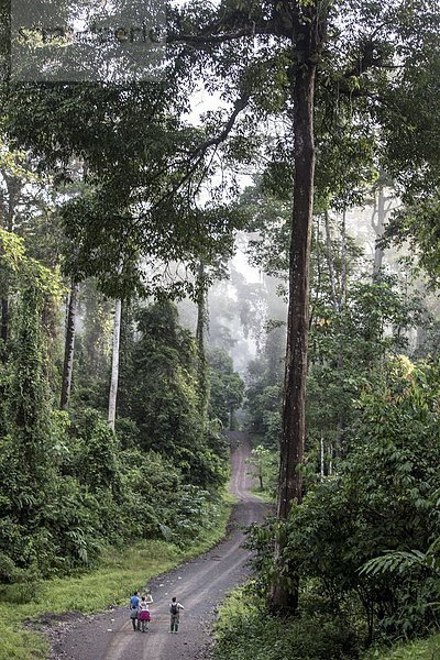 Führung  Anleitung führen  führt  führend  Morgen  Tal  Tourist  früh  wandern  Südostasien  Asien  Malaysia  Sabah