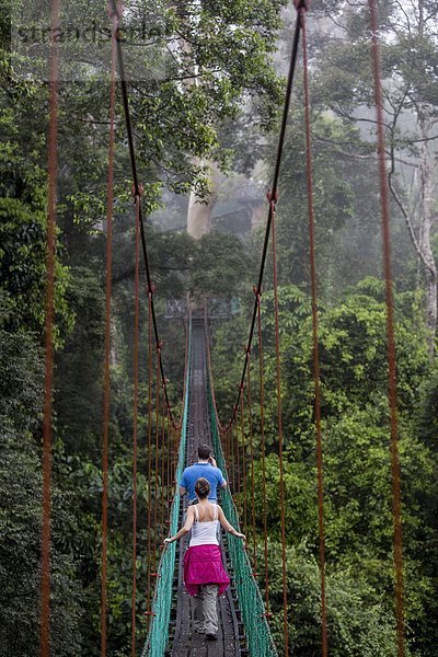 Weg  Tal  Tourist  Baldachin  Südostasien  Asien  Malaysia  Sabah