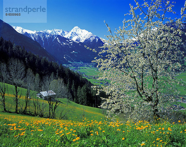 Mayerhofen im Zillertal  Österreich