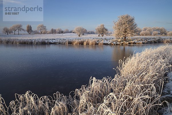 Europa  Schönheit  Großbritannien  Nachmittag  groß  großes  großer  große  großen  Frost  Norfolk  Dezember  England