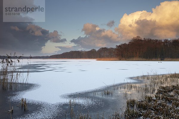 Europa  Kälte  Großbritannien  klein  Winter  Ausdauer  Norfolk  England  einfrieren