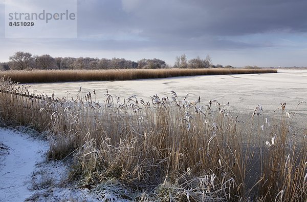 Kälte  zeigen  Europa  Winter  Tag  Großbritannien  Norfolk  England  gefroren
