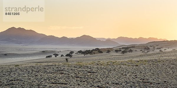 entfernt  hoch  oben  Naturschutzgebiet  Berg  Beleuchtung  Licht  Start  Namibia  Namib  Afrika  Distanz  Sonne