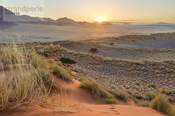 Sonnenaufgang  Namibia  Namib  Düne  Afrika