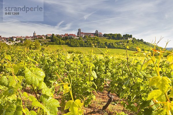 nahe  Frankreich  Europa  Berggipfel  Gipfel  Spitze  Spitzen  Dorf  Weinberg  Zimmer  Burgund