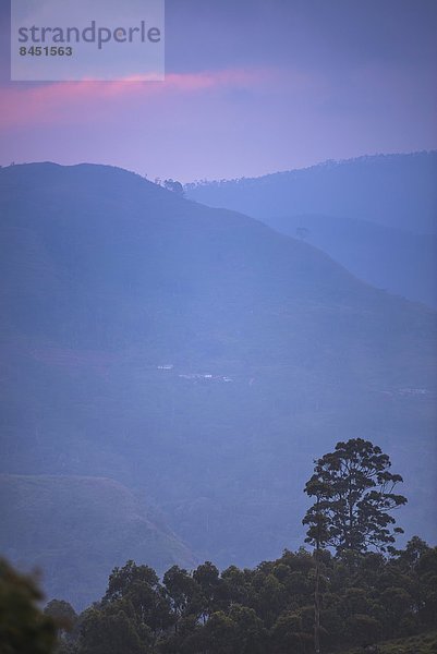 Berg  Landschaft  über  Hügel  Sonnenaufgang  Ansicht  Asien  Sri Lanka