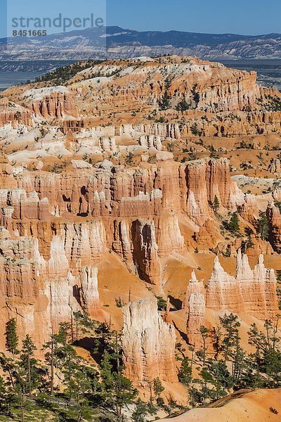 Vereinigte Staaten von Amerika  USA  Felsbrocken  Anordnung  Nordamerika  Amphitheater  Bryce Canyon Nationalpark  Schlucht  Utah