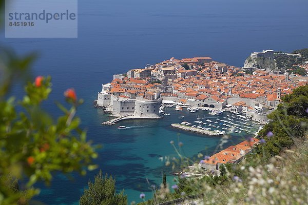 hoch oben Hafen Europa Berg Großstadt Ansicht Seitenansicht UNESCO-Welterbe Kroatien Dubrovnik