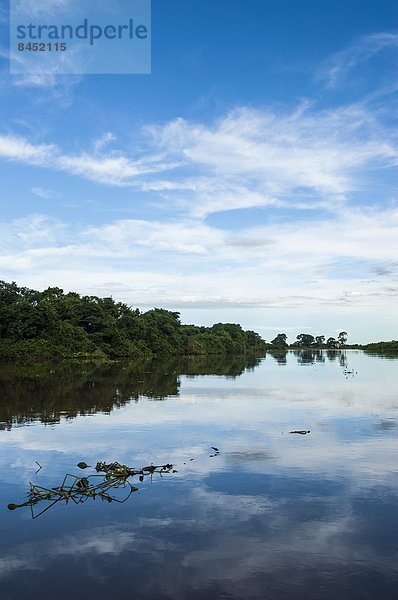 Wasser  Baum  Spiegelung  Fluss  UNESCO-Welterbe  Brasilien  Pantanal  Südamerika