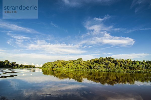 Wasser  Baum  Spiegelung  Fluss  UNESCO-Welterbe  Brasilien  Pantanal  Südamerika