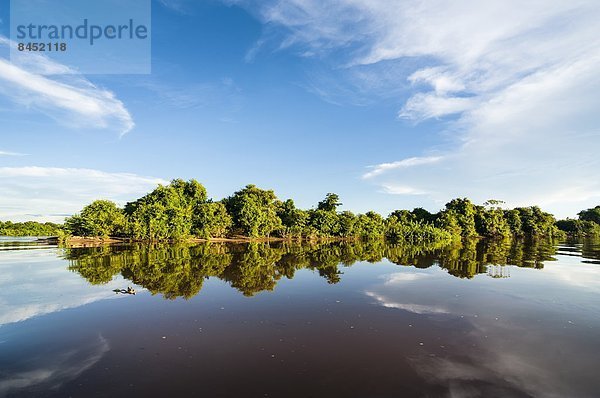 Brasilien  Pantanal