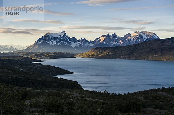 Beleuchtung  Licht  spät  Nachmittag  Chile  Patagonien  Südamerika