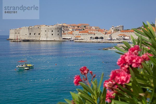 Europa UNESCO-Welterbe Kroatien Dalmatien Dubrovnik Ansicht der Altstadt