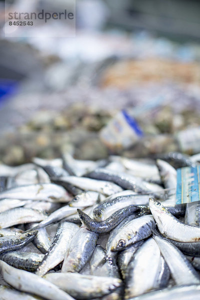 Fischhaufen auf dem Markt ausgestellt