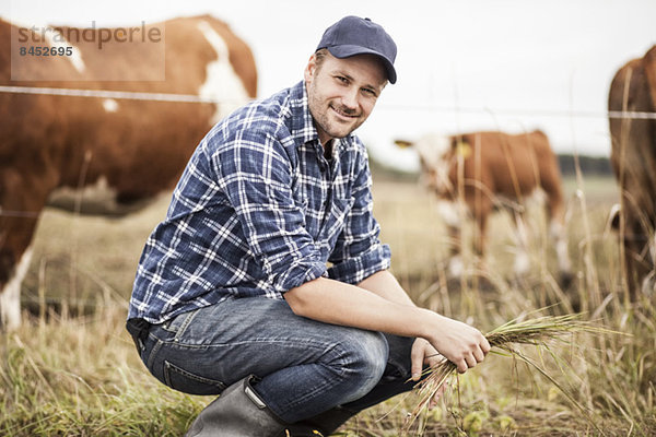 Porträt eines Bauern mit Gras  das auf dem Feld kauert  während die Tiere im Hintergrund grasen.