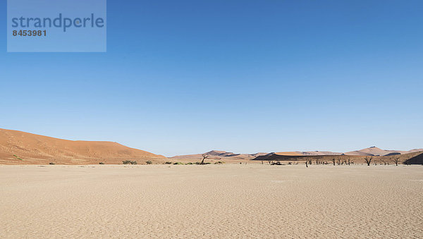 Namibia Namib Sossusvlei