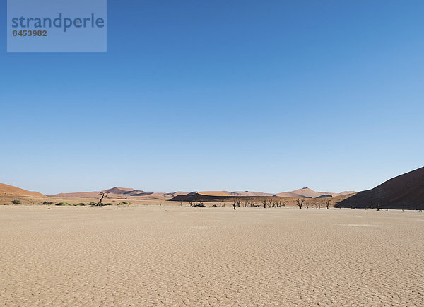 Namibia Namib Sossusvlei