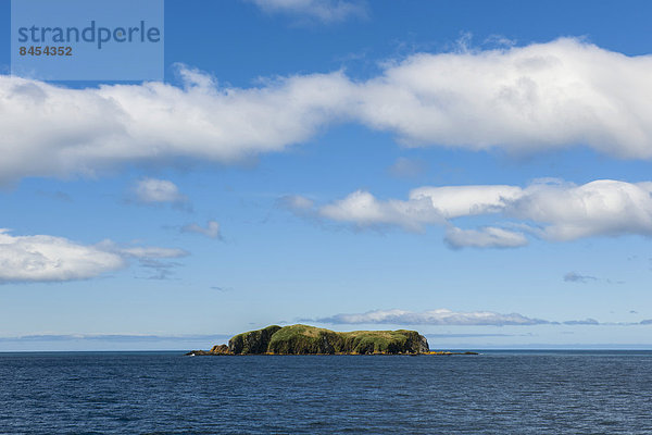 Eine Insel in der Bay of Isles an der Nord-Ost-Küste  Südgeorgien und die Südlichen Sandwichinseln  britisches Überseegebiet