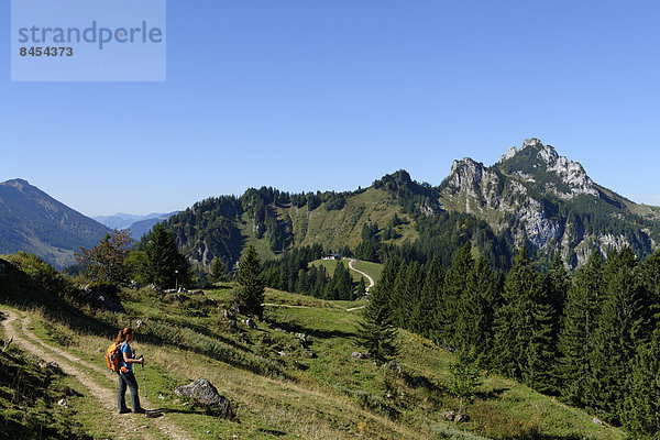 Wanderin auf dem Weg zur Hochplatte  vor der Kampenwand  Chiemgau  Oberbayern  Bayern  Deutschland