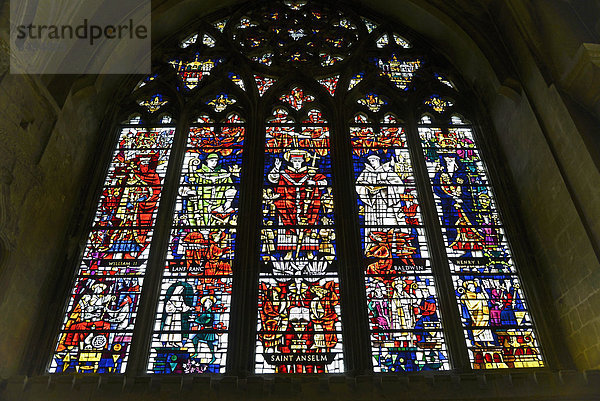 Farbiges Kirchenfenster  Kathedrale von Canterbury  Canterbury  Kent  England  Großbritannien
