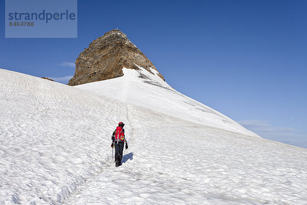 Bergsteiger auf dem Pfaffensattel  hinten der Gipfel des Zuckerhütl  Nordtirol  Österreich
