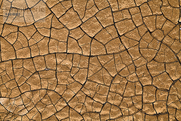 Lehmstruktur  gesprungene Kruste eines ausgetrockneten Wasserlochs  Boa Vista  Kapverden