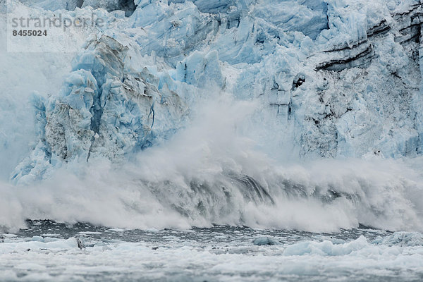 Harvard-Gletscher beim Kalben  College Fjord  Prince William Sound  Alaska