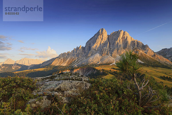 Peitlerkofel im Abendlicht  St. Martin in Thurn  Provinz Bozen  Südtirol  Italien