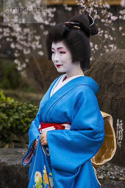 Geisha im Geisha-Viertel Gion  Kyoto  Japan