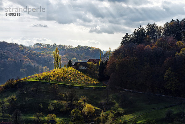 Österreich