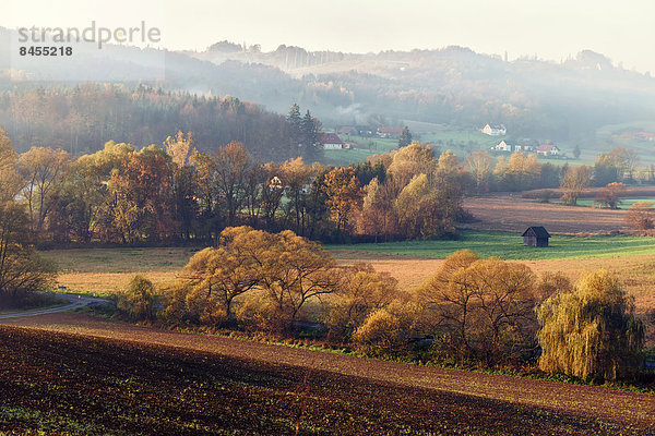 Herbstlandschaft im Nebel  bei Gamlitz  Südsteiermark  Steiermark  Österreich